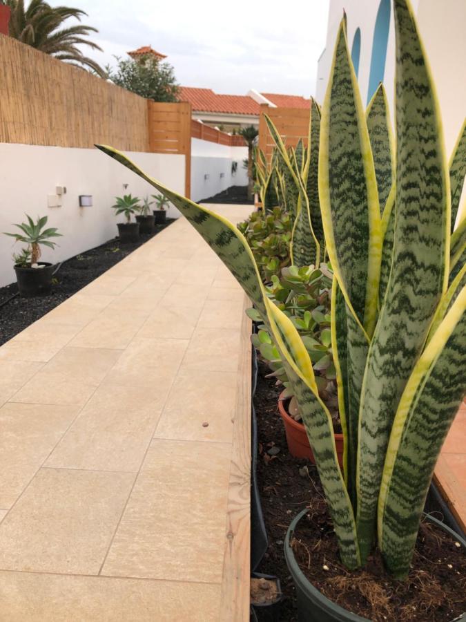Cozy, Beach House , By Mahbovillas La Oliva Bagian luar foto